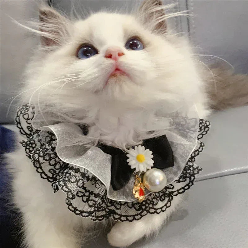 Fairy Pet Scarf - Sorceress Sanctuary XS-S-M-L
