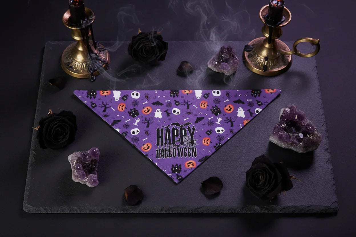 Premium Pet Scarf - Sorceress Sanctuary 1-2-3-4-5