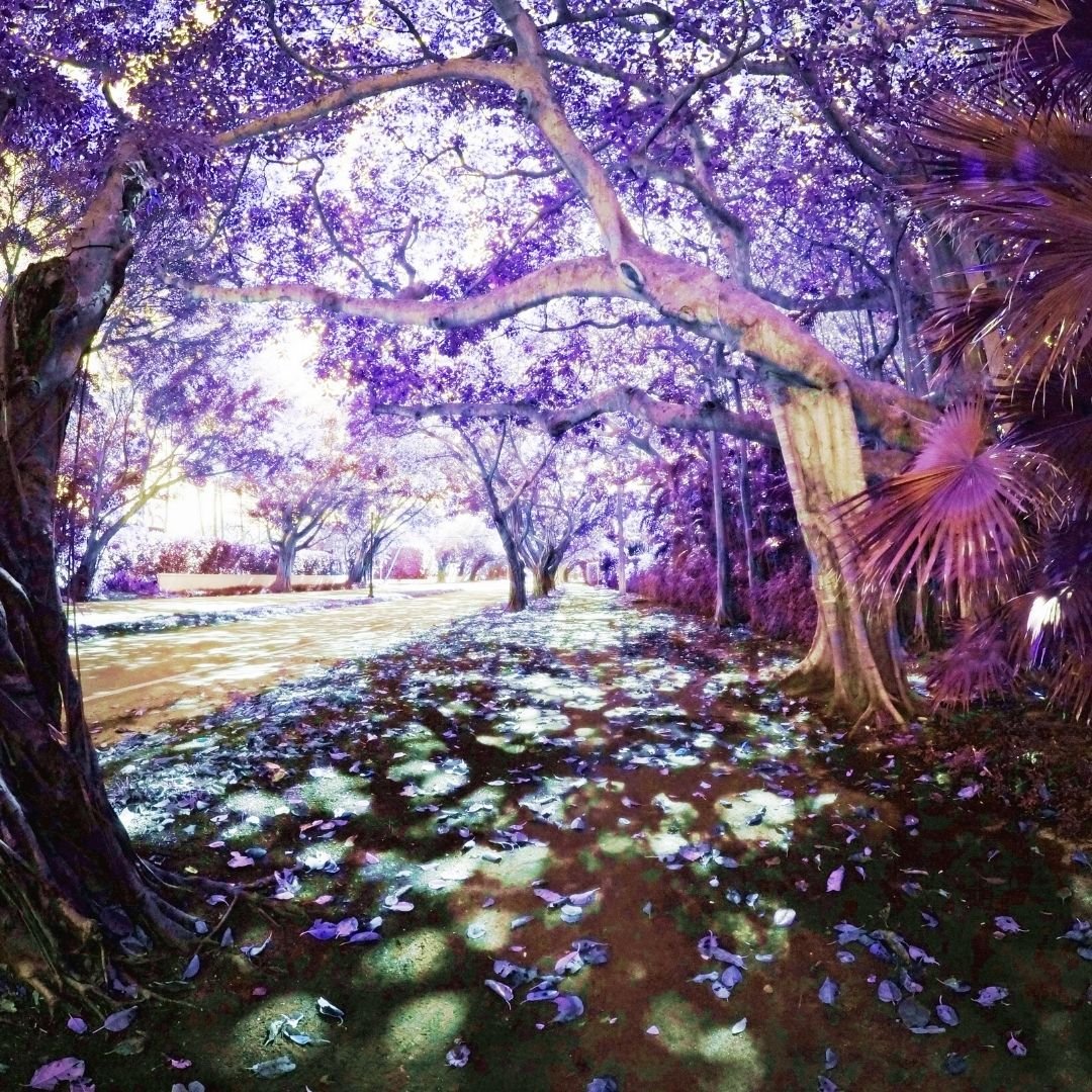 Elemental Magic - Sorceress Sanctuary