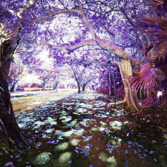Elemental Magic - Sorceress Sanctuary