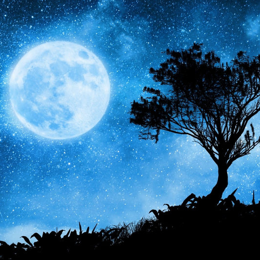 Lunar Rituals | Working With Moon Phases Magic - Sorceress Sanctuary