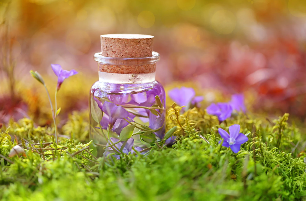 Witchcraft For Beginners | Start Your Magical Journey - Sorceress Sanctuary