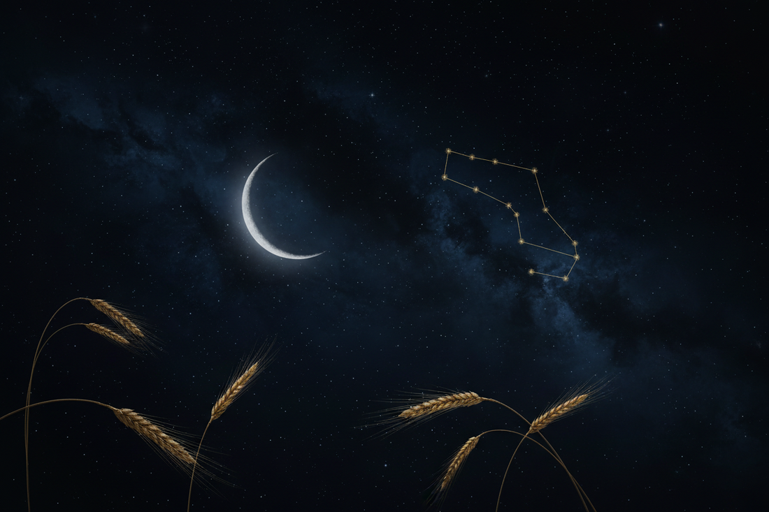 New Moon in Virgo