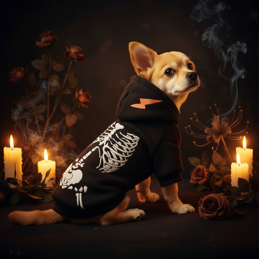 Electric Dinosaur Pet Costume - Skeleton Dog Outfit Sorceress Sanctuary