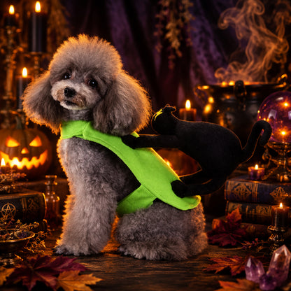 Halloween Dog Costume, close up detail