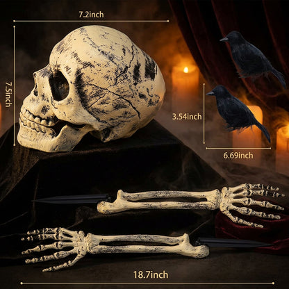 Halloween Skeleton Decoration Set for Garden (3 Pieces) Sorceress Sanctuary