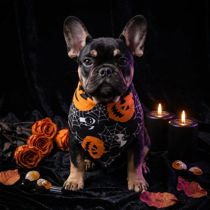 Pet Halloween Skull Triangle Scarf and Collar Decoration Sorceress Sanctuary