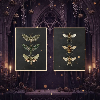Moth Insect Art from Sorceress Sanctuary, main product photo