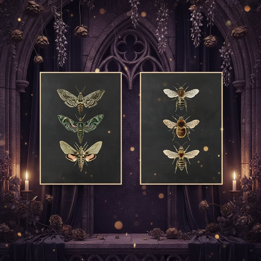 Moth Nature Insect Wall Art - Vintage Home Decor Prints Sorceress Sanctuary