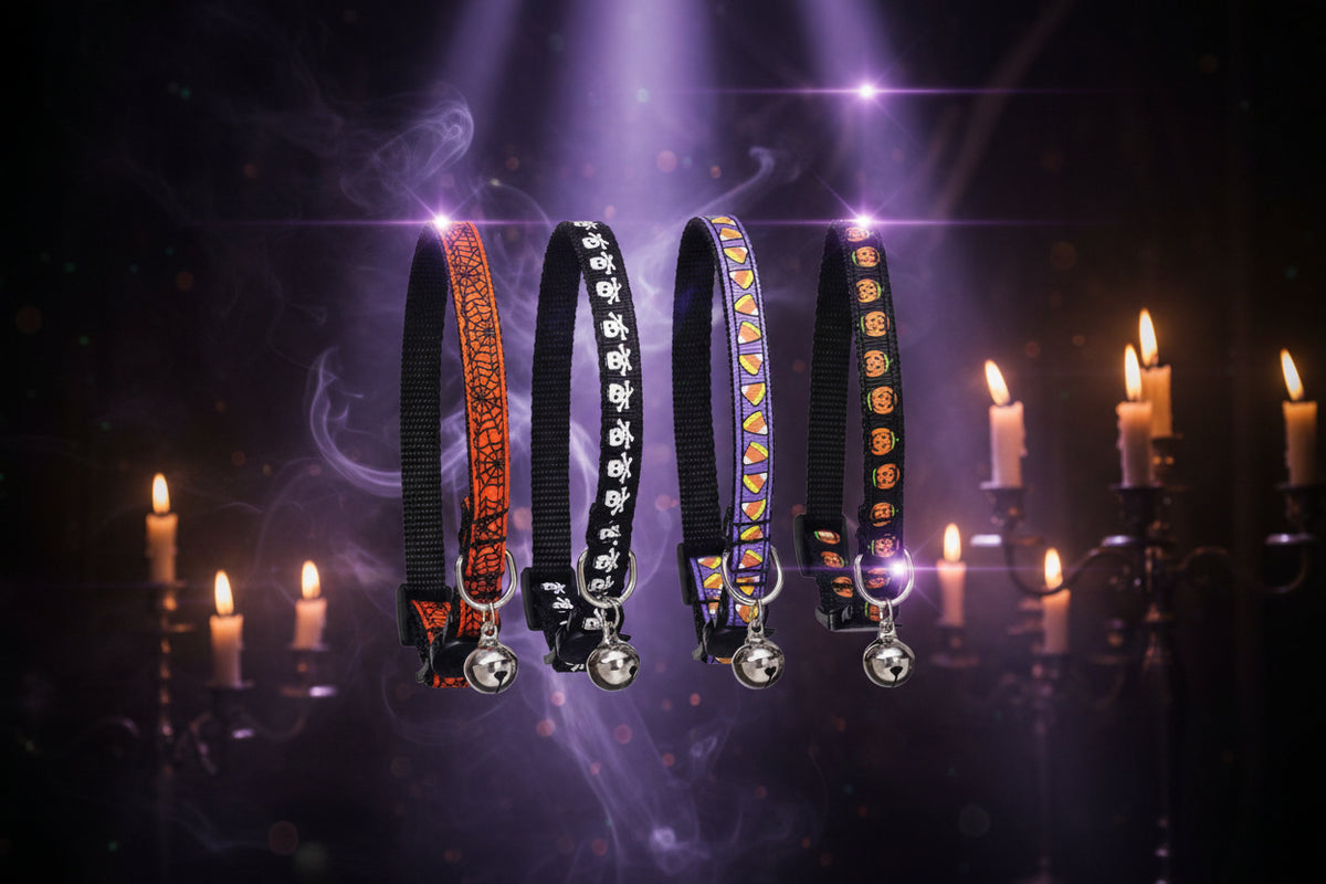 Four Halloween-themed cat collars with bells on a white background