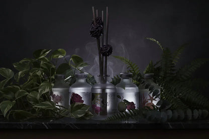 Botanical Diffuser - Sorceress Sanctuary Ocean Dream-Guava Raspberry-Green Bamboo Apple-Lavender-Pink Roland