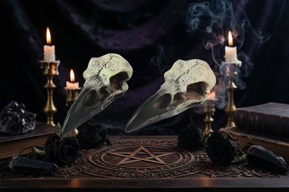 Crow Skull Necklace - Sorceress Sanctuary 28x60mm-18x40mm