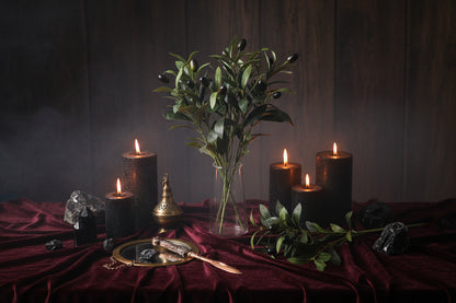 Enchanted Olive Branch - Sorceress Sanctuary Default