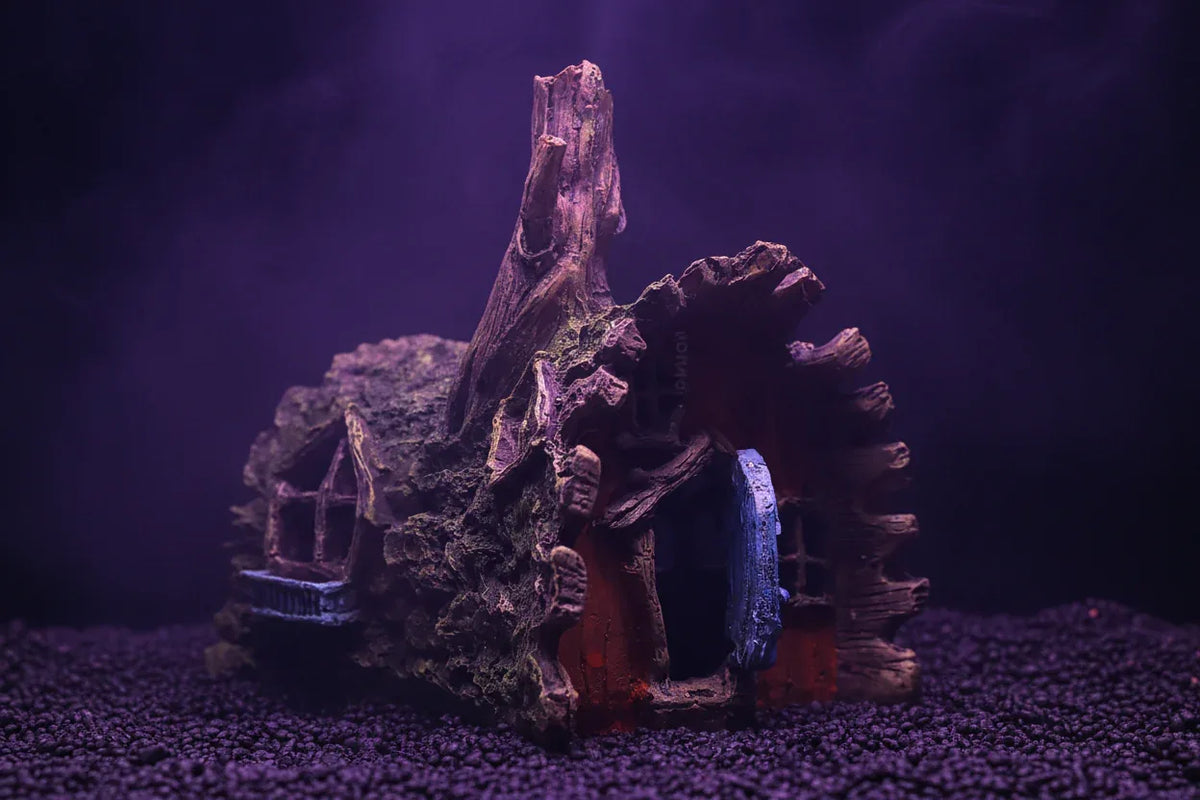 Fae Home - Sorceress Sanctuary A