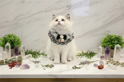 Fairy Pet Scarf - Sorceress Sanctuary XS-S-M-L