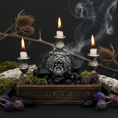 Silver lion head ring on a stone surface with a dark background