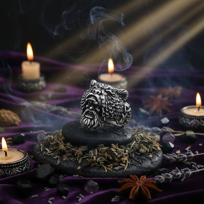 Silver lion head ring on a stone surface with a dark background