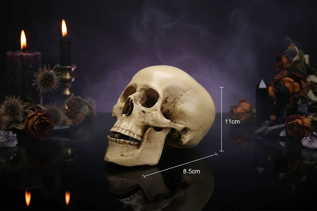 Medical Skull - Sorceress Sanctuary Default