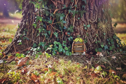 Mini Fairy Door - Sorceress Sanctuary Green-Blue-Yellow and White-Rainbow-Yellow