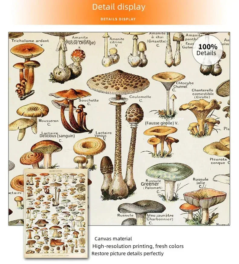 Mushroom Biology Poster - Sorceress Sanctuary 1 (without box) / 13x18cm(5x7in)-1 (without box) / 20x25cm(8x10in)-1 (without box) / 30x40cm(12x16in)-1 (without box) / 40x50cm(16x20in)-1 (without box) / 40x60cm(16x24in)