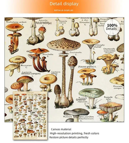 Mushroom Biology Poster - Sorceress Sanctuary 1 (without box) / 13x18cm(5x7in)-1 (without box) / 20x25cm(8x10in)-1 (without box) / 30x40cm(12x16in)-1 (without box) / 40x50cm(16x20in)-1 (without box) / 40x60cm(16x24in)