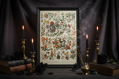 Mushroom Biology Poster - Sorceress Sanctuary 1 (without box) / 13x18cm(5x7in)-1 (without box) / 20x25cm(8x10in)-1 (without box) / 30x40cm(12x16in)-1 (without box) / 40x50cm(16x20in)-1 (without box) / 40x60cm(16x24in)