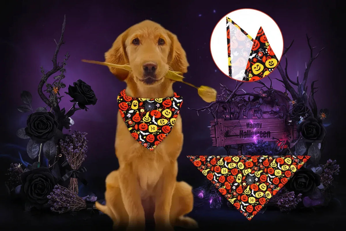 Occult Bandanas - Sorceress Sanctuary 1 / 40X28X28cm-1 / 62X43X43cm-2 / 40X28X28cm-2 / 62X43X43cm-3 / 40X28X28cm