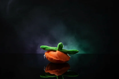 Pumpkin Pet Set - Sorceress Sanctuary Orange / Pumpkin Hat-Orange / M-Orange / S
