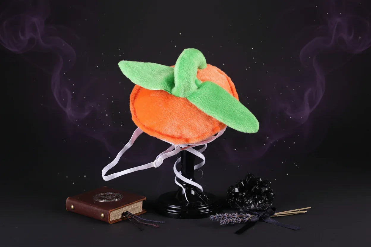 Pumpkin Pet Set - Sorceress Sanctuary Orange / Pumpkin Hat-Orange / M-Orange / S
