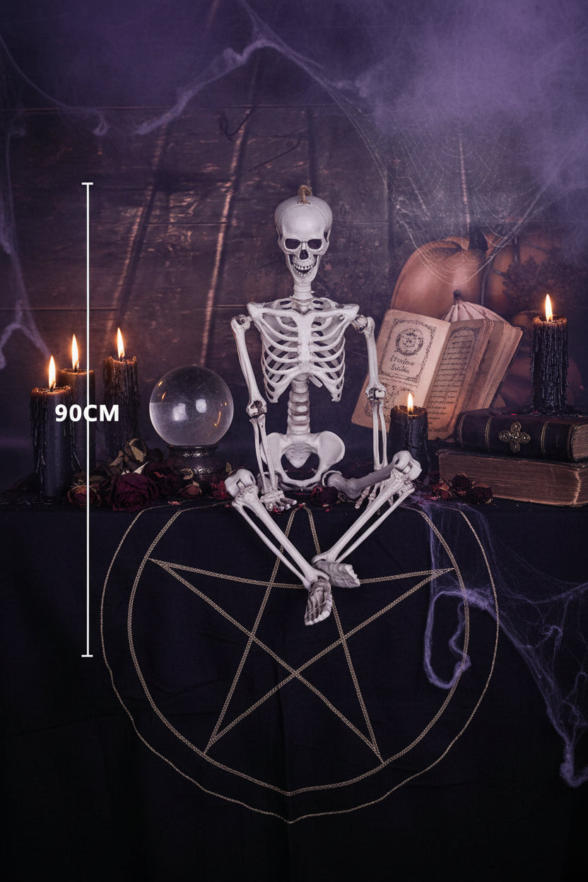 Realistic Skeleton Model - Sorceress Sanctuary 90cm-165cm-40CM