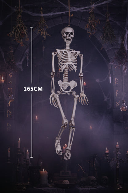 Realistic Skeleton Model - Sorceress Sanctuary 90cm-165cm-40CM