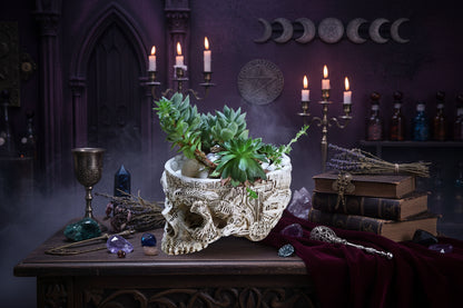 Skull Planter - Sorceress Sanctuary White