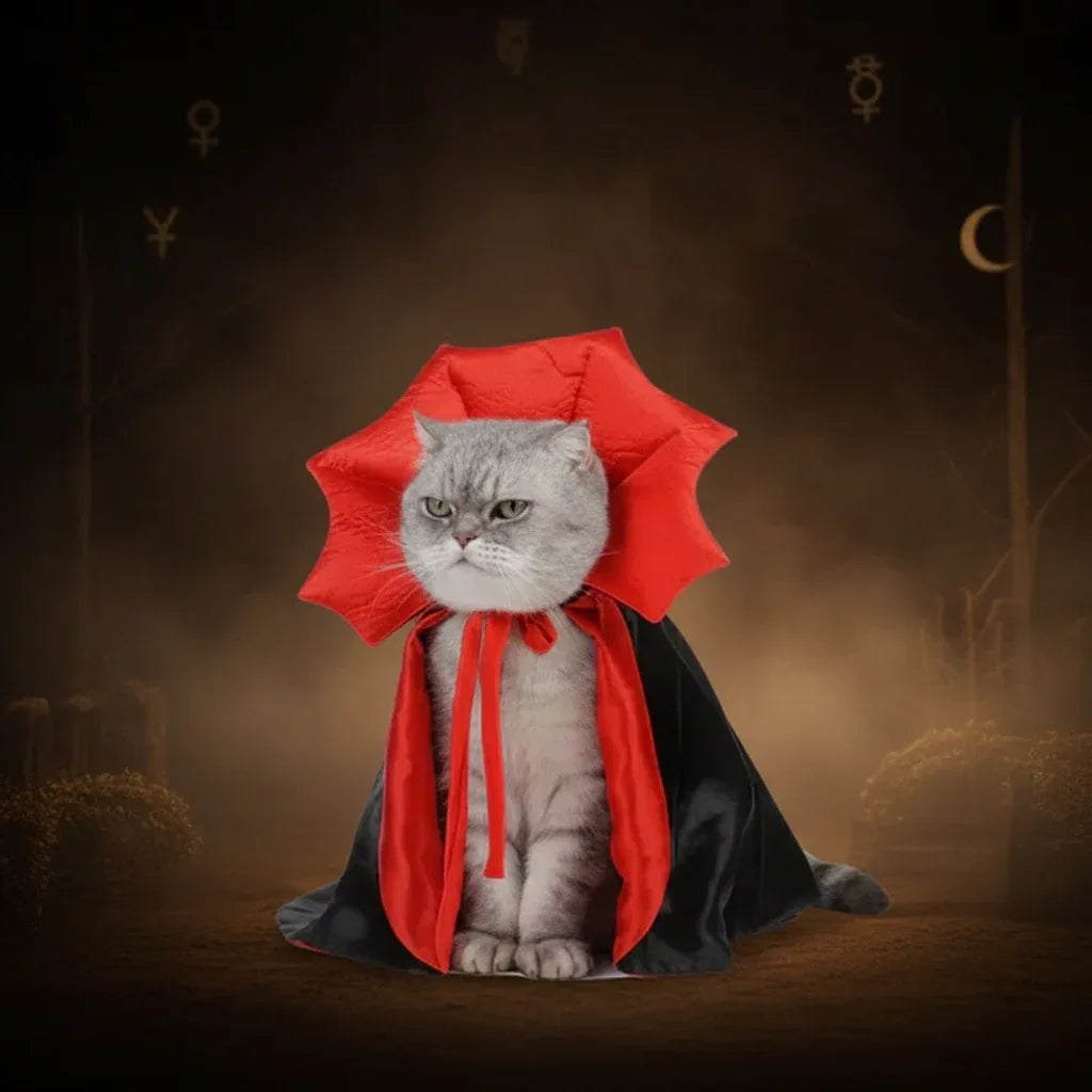 Vampire Pet Cape - Sorceress Sanctuary Black / One size